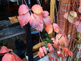 4220342_756255372_rotate.jpg