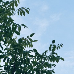 81E5512A-E24F-435D-BF6D-15002496B670/L0/001