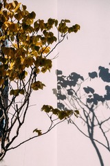 616BB684-8B56-4E3E-92FF-60D5313349D6/L0/001