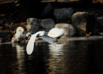 IMG_4045.JPG