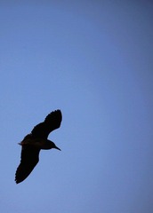 IMG_4167.jpg改.jpg