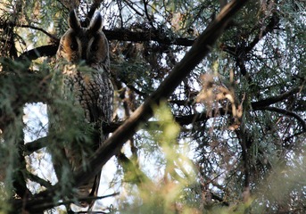 IMG_4247.JPG