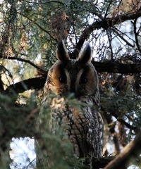 IMG_4248.JPG