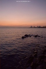 DSC_8094-2.jpg
