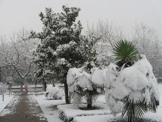 2009年春节榆林照片；2009年2月26日宝鸡第一场雪的部分雪景照片 087.jpg
