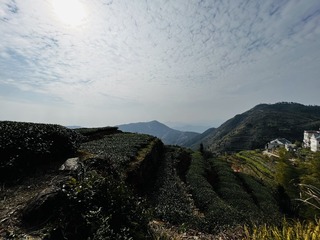 5240897C-882C-40FA-B330-007DB6A70E37/L0/001