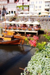 IMG_1117.jpg