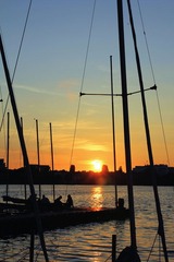 IMG_1640.jpg