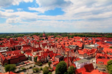 IMG_1247.jpg