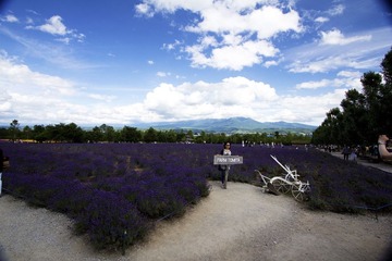 IMG_5228.jpg