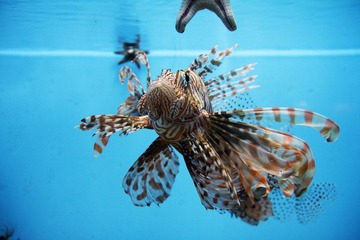 IMG_5286.jpg