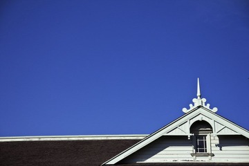 IMG_5365.jpg