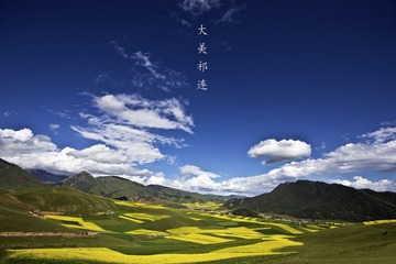 IMG_5849_1.jpg