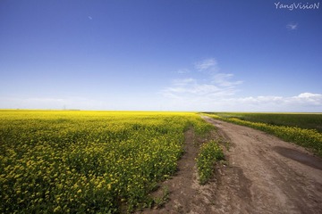IMG_5756.jpg