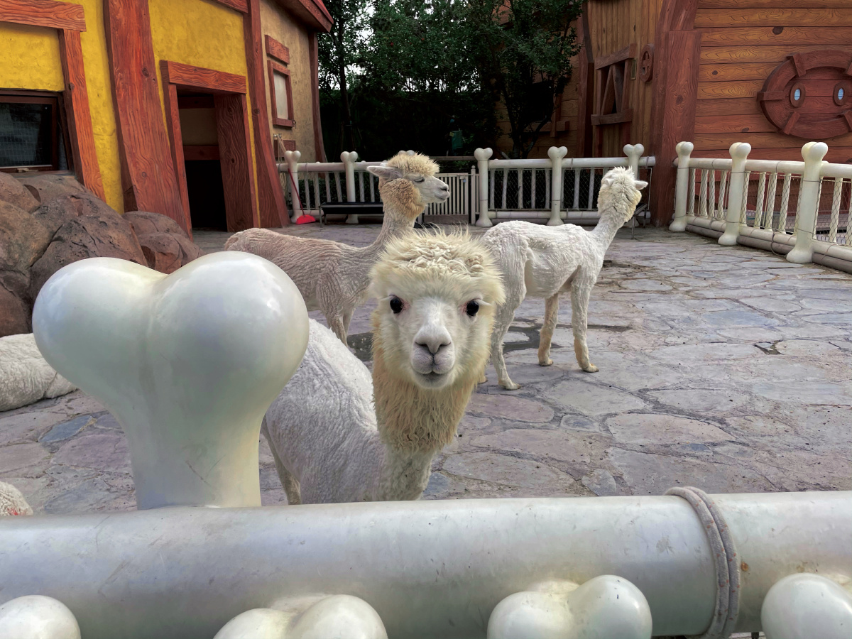 郑州银基动物王国