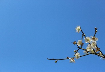 IMG_2260_副本.jpg