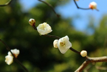 IMG_2239_副本.jpg