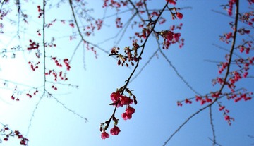 img_2202_副本.jpg