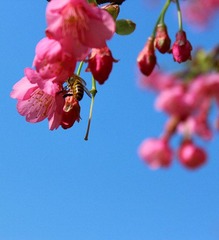img_2165_副本.jpg