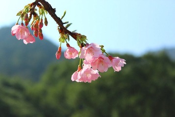 img_2172_副本.jpg
