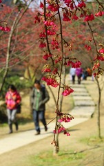 img_2182_副本.jpg