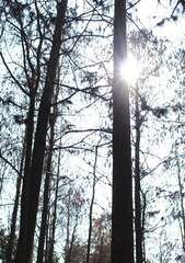 img_2111_副本.jpg