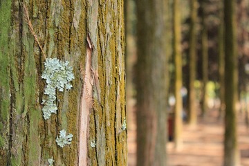 img_2122_副本.jpg