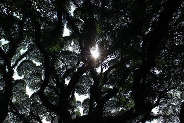 img_2146_副本.jpg