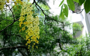 IMG_4367_副本.jpg
