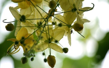 IMG_4370_副本.jpg
