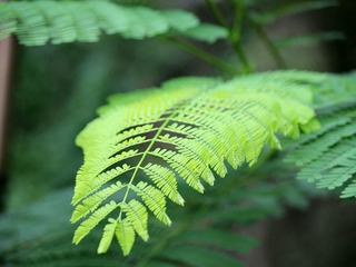 IMG_4964_副本.jpg