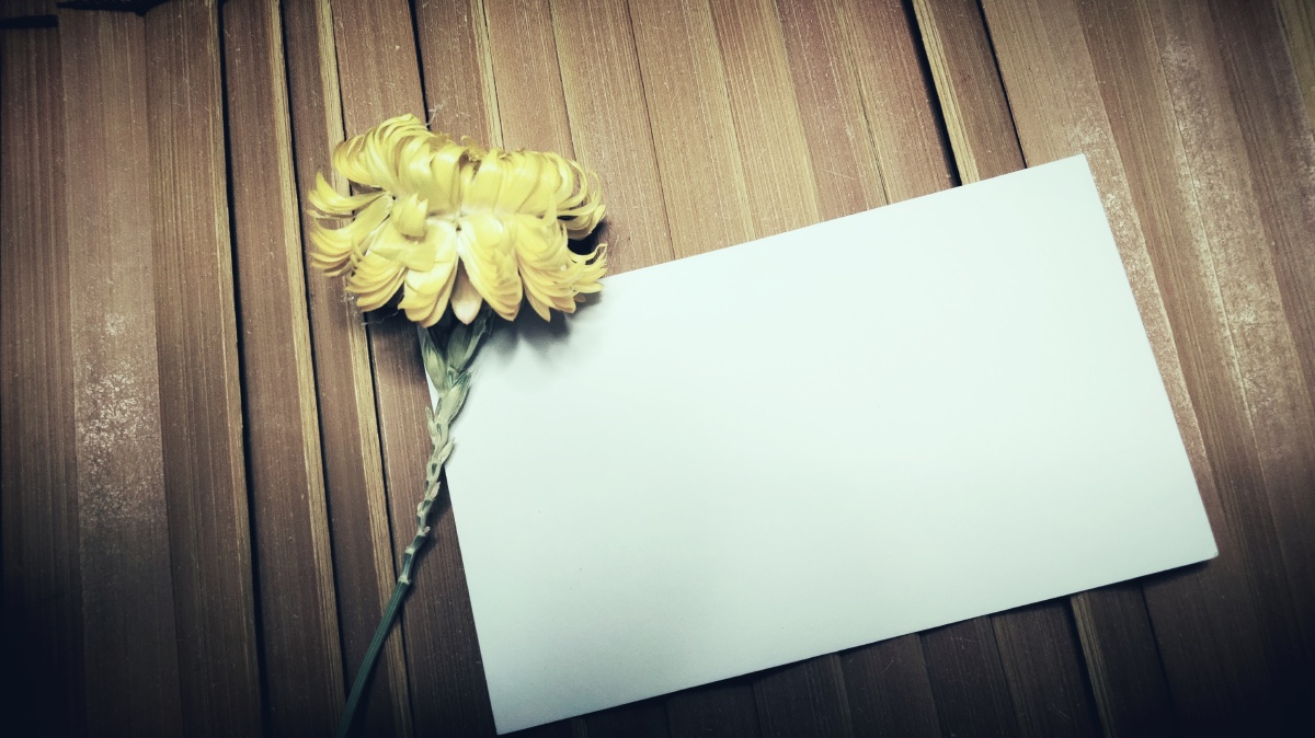 手写摆拍小菊花古风摆拍空白模板底图在后面