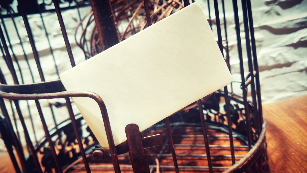 摆拍底图鸟笼空白模板在p2