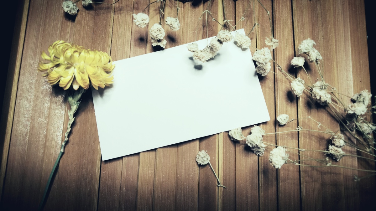 手写摆拍小菊花古风摆拍空白模板底图在后面