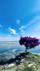 F6348F40-440B-4D63-BF39-70BC576EC544/L0/001