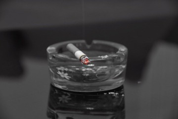 IMG_0082.JPG