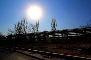 IMG_1355.JPG