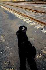IMG_1424.JPG