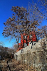 IMG_1391.JPG