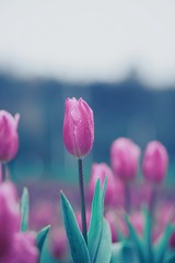 36AB6B85-7356-4405-9E78-708F4B16073F/L0/001