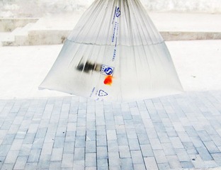 袋中鱼2.jpg