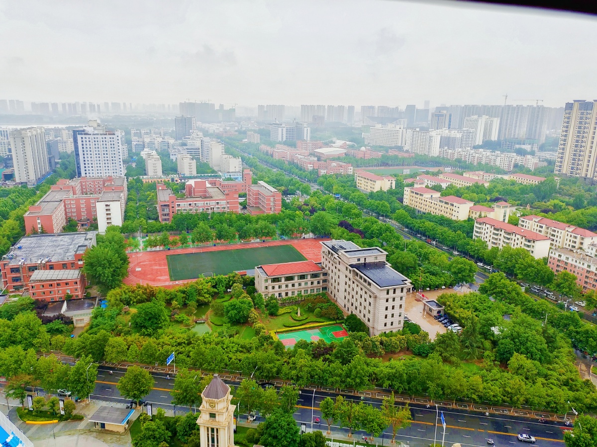 原来站的高楼下的风景这么美特别是雨后的路