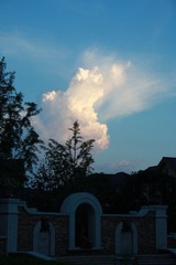 IMG_2414s1000