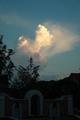 IMG_2419s1000