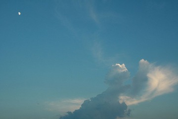 IMG_2425s1000