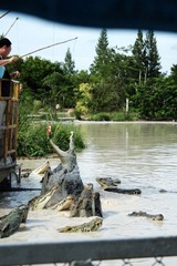 s1000IMG_3121