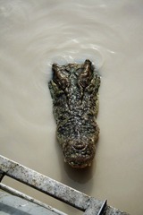 s1000IMG_3123