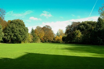 DSCF0524.jpg