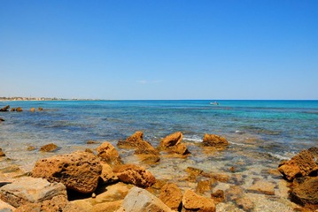 DSC_0684.jpg
