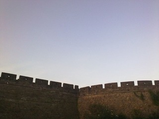 20100721006.jpg